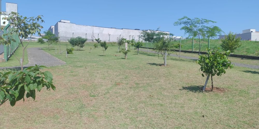 area verde